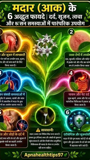 🌿 मदार (आक) के 6 अद्भुत फायदे | दर्द, सूजन, त्वचा और श्वसन समस्याओं में पारंपरिक उपयोग!