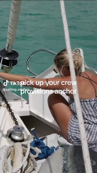 Swimming with Whales on our Atlantic Crossing #shorts #sailirsoftiktok #tiktok