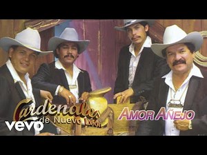 Cardenales De Nuevo León - Amor Añejo (Visualizer)