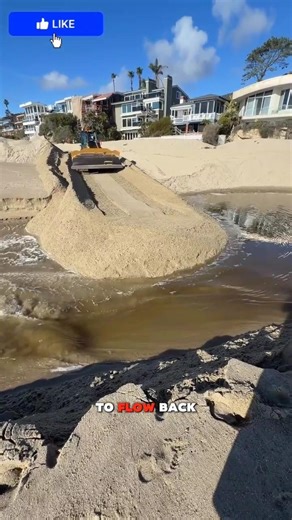 Re-Flowing a Coastal Estuary#viralvideo #shorts