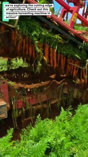 Harvesting Revolution: Modern Farming Technology in Action
