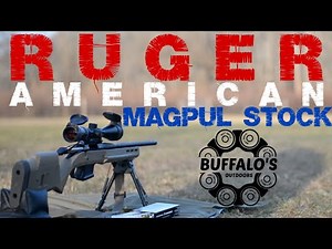 RUGER AMERICAN PREDATOR - I LIKED IT, NOW I LOVE IT!