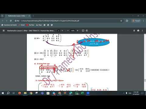 Chapter 4 matrix ( Leontief input output Analysis ) Part 4