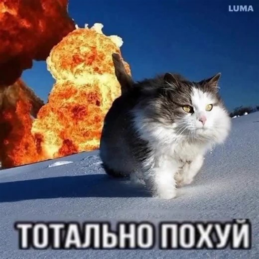 wwwwx (@wwwwx16785a)’s videos with оригинальный звук - wwwwx