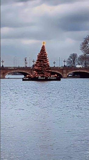 Alstertanne in Hamburg🎄Weihnachtsbaum auf der Alster ✨