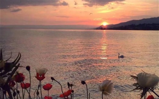 【Subliminal】潜意识音乐：吸引喜欢的人、增强心灵感应（自制自用）