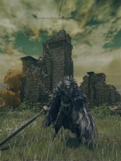 Can blaidd beat elden ring? #eldenring #fypシ #fyp #xyzbcab | Elden Ring