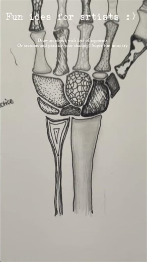 Shading practice! #art #handbones #artanatomypractice #shadingpractice