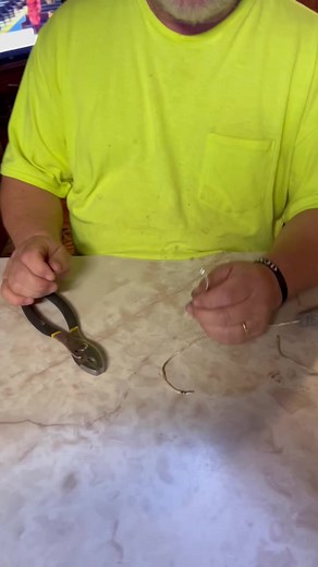 #limblinefishing #catfishing#limblines #fishing