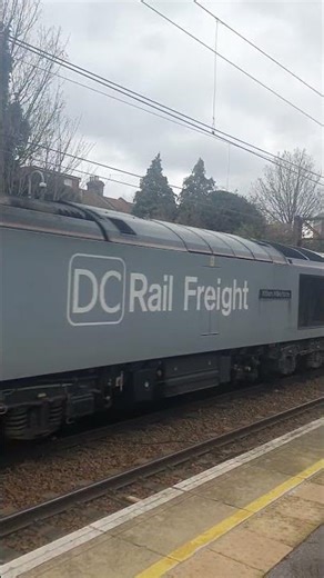 Class 60 046 passes woodgrange Park with a loud 3 Tone#train#class60#railway#trainspotting