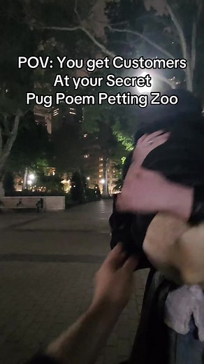 Meet Turnip: The Iced Out Pug with a Talent!