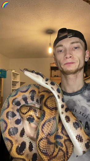 HOGGZEXOTICS on TikTok