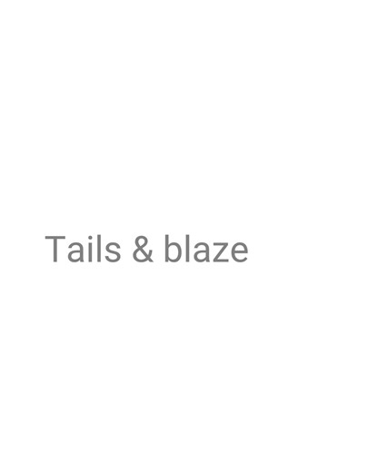J’étais obligé de faire un 2eme duo 🥹🤌 (tails & blaze) #tails #blaze #tlaze #animation