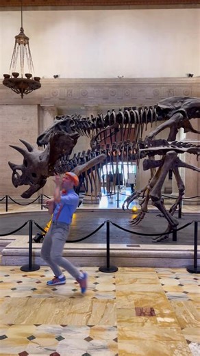 Exploring Dinosaur Fossils at the Museum with Blippi