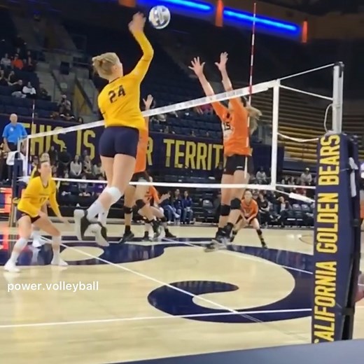 Power Volleyball on Instagram: "@calvolleyball  FOLLOW @power.volleyball.official ⬅⬅⬅ @power.volleyball.official for more⬅⬅⬅ @power.volleyball.official for more ⬅⬅⬅ . #volleyball #volleyballplayer #volleyballgirls #volleyballgame #volleyballtem #volleyballlife #volleyballislife #volleyballproblems #volleyballtime #volleyballanime #libero #setter #spike #save #set #hitter #ball #voleibol #pallavolo #bolavoli #siatkowka #usavolleyball #attack #block #tagfriends"