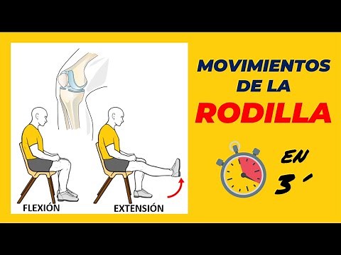 KNEE MOVEMENTS ✅ Flexion and Extension (Easy) Femorotibial