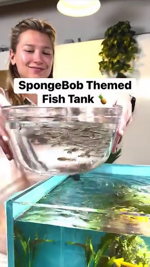 5.6M views · 111K reactions | I Built a SpongeBob Themed Fish Tank  | Aquarium Info | Facebook