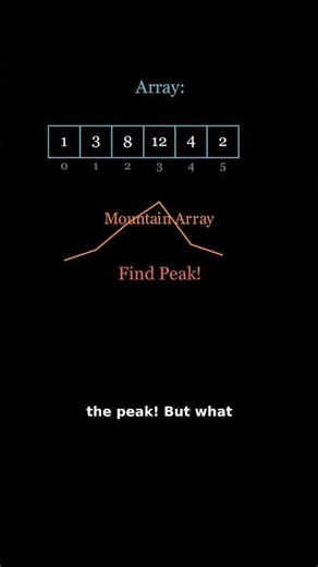 Find the Peak WITHOUT Checking Every Element! [Day 3/30]