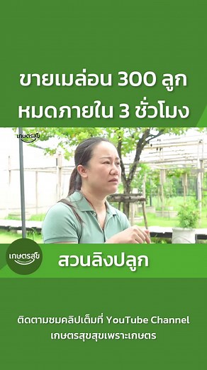 378K views · 10K reactions | ทำยังไงให้เมล่อนหวาน ทำยังไงให้ขายหมดภายใน 3 ชั่วโมง!!! #เกษตรสุขสุขเพราะเกษตร | เกษตรสุข สุขเพราะเกษตร | Facebook