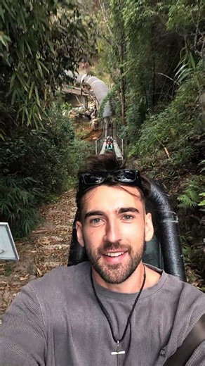 Alpine coaster🎢🌲#vietnam #pov #rollercoaster #travel #thrill
