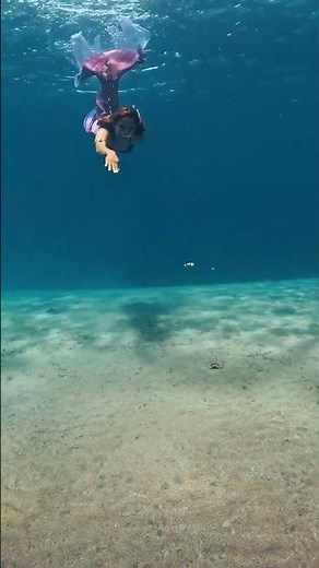 Angry Nemo! Clownfish Headbutts Diver