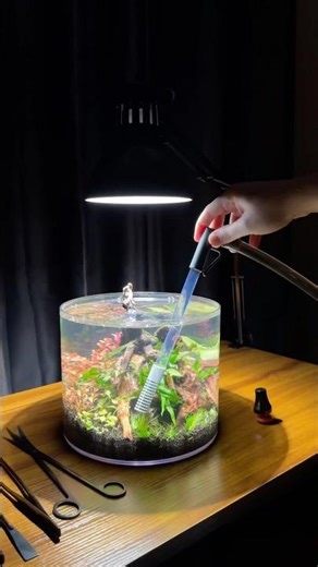 Filterless nano aquarium maintenance