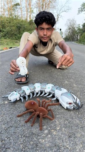 Rc Robot Scorpion 🦂 & Spider Toy 🕷️Unboxing + Testing Full Review!