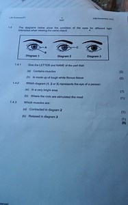 Lifo Sciences/P17DBE/November 20221.4 The diagrams below sho... | Filo