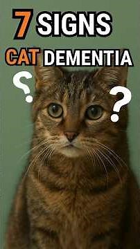7 Signs of Cat Dementia