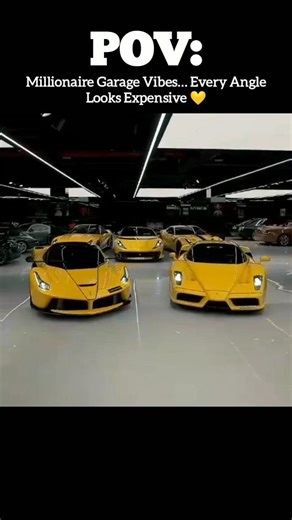 Pov: Millionaire Garage Vibes… Every Angle Looks Expensive 💛
