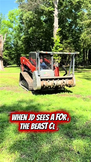 Got overgrown? JD will mulch it before the Twilight soundtrack even drops the beat. 🔥 Serving Central Mississippi with forestry mulching, land clearing, and brush removal. #SupermassiveBlackHole #TwilightForestScene #ForestryMulching #LandClearing @Jimmy Blanton