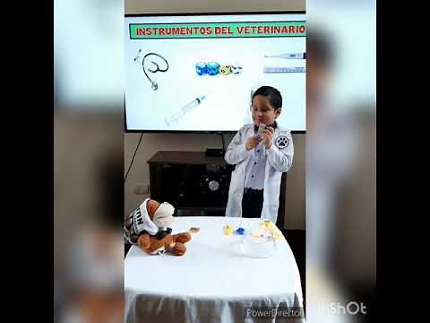 El Veterinario explicado para niños
