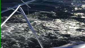 190K views · 2.6K reactions | Incredible footage and report of...