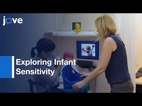 Visual Language Using Eye Tracking & Preferential Looking Paradigm l Protocol Preview