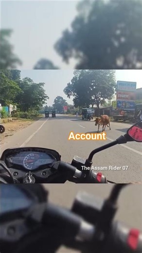 papi Lobely song 🎵 rider video #shotes #rider #viral #trending #riderlife