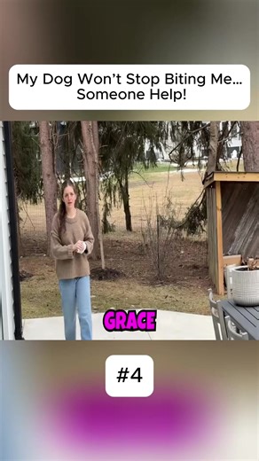 Understanding Why My Dog Bites and How to Stop It