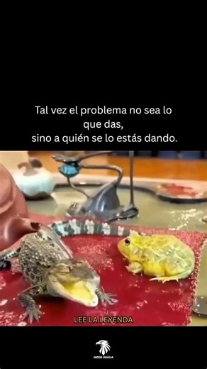 Tal vez el problema no sea lo que das sino a quien se lo estás dando