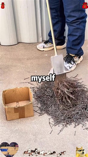 Olas Exploring Disneyland Paris: New World of Frozen