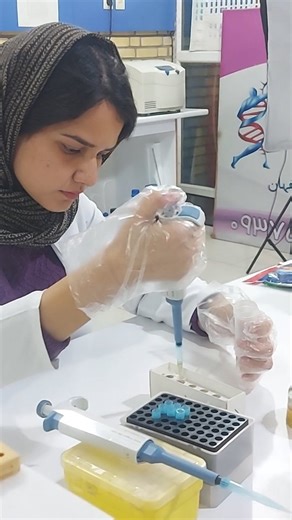 Bionovin Biotechnology on Instagram‎: "1. مبانی کلونینگ مولکولی 2. آشنایی با پلاسمیدها و وکتورها 3. آنزیم‌های محدودکننده 4. اصول لیگیشن 5. PCR و پرایمر دیزاین 6. انتخاب ژن هدف 7. استخراج DNA 8. برش آنزیمی (Digestion) 9. خالص‌سازی محصولات 10. واکنش Ligase 11. تهیه Competent cells 12. Transformation 13. کشت و جداسازی کلونی‌ها 14.. استخراج پلاسمید 15.الکتروفورز ژل 16. کلونینگ برای بیان پروتئین 17. کلونینگ در E.coli 18. ایمنی و اصول کار در کلونینگ فقط در ۳ ماه گذروندن دوره ارشد مهندسی ژنتیک یک رزومه