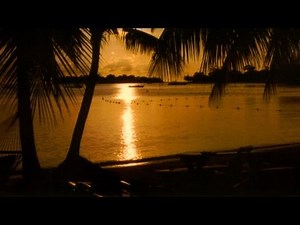 Top 5 Cities to Visit | Jamaica Travel