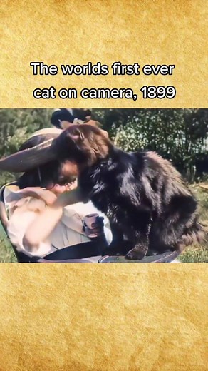 girl and cat #history #7minutesinhistory #historybuff #historicalfootage