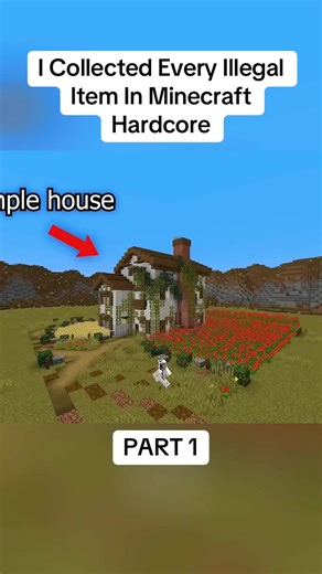 I Collected Every Illegal Item In Minecraft Hardcore - PART 1 #collected #illegal #item #minecraft #fyp