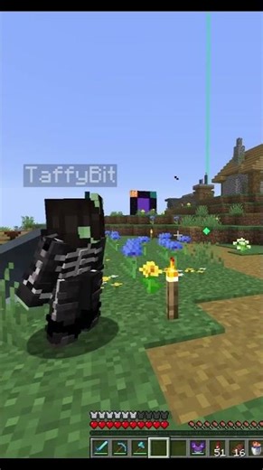 Roleplaying go crazy #minecraft #funny #memes #gaming