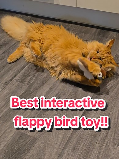 Best Interactive Flappy Bird Toy for Cats in 2025
