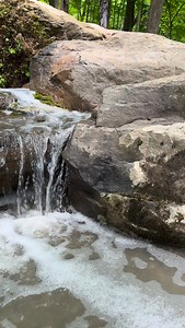 That’s is about 12000 gph of water flushing through that waterfall The viewpoint on this was farther back then normal. So it needed to be louder Flushing it through a tight spot and dropping into a pool makes it a deeper sound #koiponds #waterfalls #streams #fish #gardenponds aquaticplants fountains naturalponds dreambuilders albanyny saratogasprings guilderlandbuilders custombuilders outdoorliving lifestylecoypond backyard rocks team formalfountains recreationponds staycation lakegeorge capital