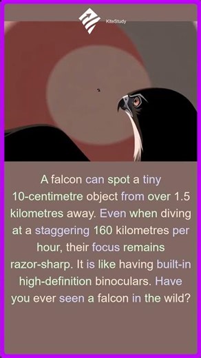 The Incredible Vision of a Falcon