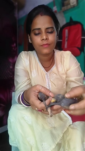 name guessing...#ytshortsindia #testy #bananas #viralvideo #supportmychannel #todaymood #trending