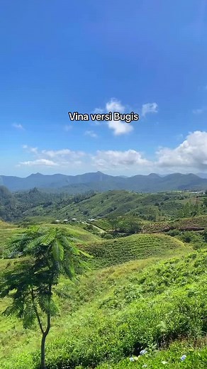 Vina Versi Bugis: Lagu Viral yang Menggetarkan Hati