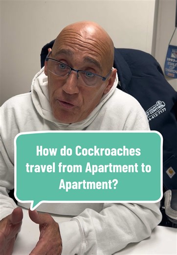 Ever wonder how roaches make their way from one apartment to another? Well our owner Sal is here explain it all! #pestcontrol #exterminator #roaches #pestcontrolfacts #pestcontrolnyc #newyorkcityapartments #fyp