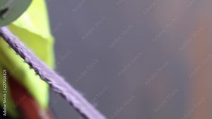 Attaching cargo with strap. Worker securing cargo transportation with strap7 Stock Video